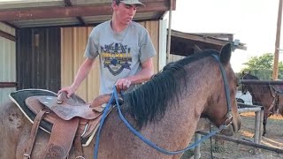 Horse Training  First Ride First Mount [upl. by Amoakuh908]