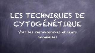 les techniques de cytogénétique partie 1 [upl. by Ludlow]