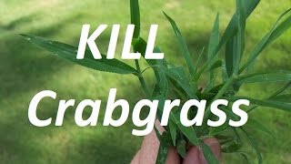 THE CRABGRASS CONTROL VIDEO  Pre and Post Emergent [upl. by Ileray906]