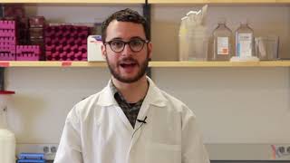 PCR Method Video [upl. by Moskow]