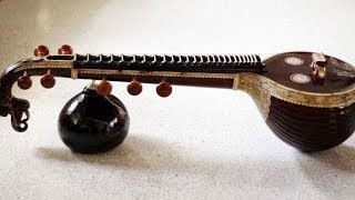 Veena Music by EGayathri – Jagadananda Karaka – Carnatic Classical Instrumental [upl. by Ainej]