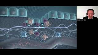 The Extracellular Matrix ECM  The Common Denominator In All Chronic Diseases [upl. by Adelheid732]