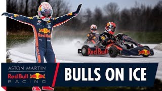 Bulls On Ice  Max Verstappen and Pierre Gasly Go Karting On Ice [upl. by Eisle342]