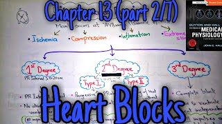 Heart blocks  chapter 13 part 27  Guyton and Hall text book of physiology [upl. by Kerry397]