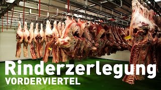 Rinderzerlegung  Teil 1 Vorderviertel [upl. by Blondell671]