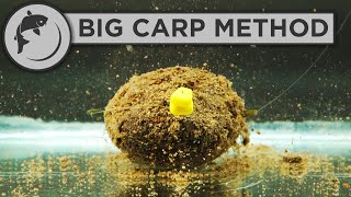 How To Fish The Method Feeder For BIG CARP [upl. by Nuahsal]