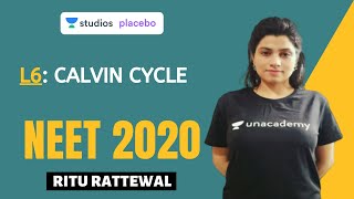 L6 Calvin Cycle  Photosynthesis Complete NCERT Review  NEET 2020 [upl. by Asille]