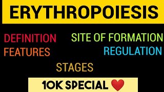 Erythropoiesis  Stages  Features amp Regulation  Entry No 1 [upl. by Netsrejk]