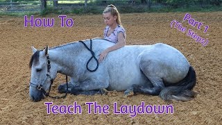 How To Teach Your Horse The ‘Laydown Part 1 No RopesNo Force [upl. by Sharity413]