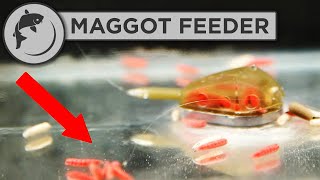 How To Tie A Maggot Feeder Rig For Tench Fishing [upl. by Adabelle40]