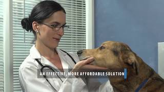 LumenPro Eye Drops for Pet Cataracts [upl. by Erdried]