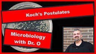 Kochs Postulates Microbiology [upl. by Pooh503]