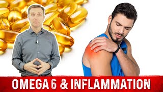 Omega3 and Omega6 Fatty Acids Food Sources and Inflammation [upl. by Caassi]