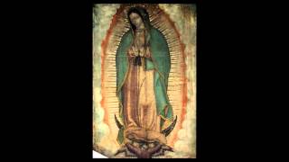 Virgin of Guadalupe [upl. by Aruol]