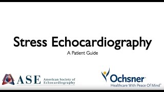 Stress Echocardiography A Patient Guide [upl. by Aicirtan]