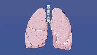 DIFUSION DE GASES O2 Y CO2  FISIOLOGIA [upl. by Aettam]