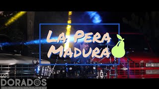 Los Dorados  La Pera Madura En Vivo [upl. by Mihar660]