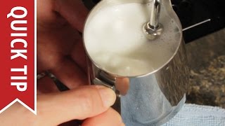 How to AutoFroth Milk for Lattes [upl. by Iarahs215]