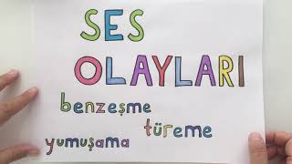 5 Sınıf SES OLAYLARI ünlü türemesi ünlü düşmesi ünsüz sertleşmesi yumuşama kaynaştırma [upl. by Woolley]