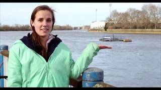 Steering the Tideway with Phelan Hill amp Sophie Shapter [upl. by Jeramie112]