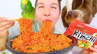 Korean Kimchi Ramen Noodles With My Sloth • MUKBANG [upl. by Padriac]