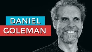 DANIEL GOLEMAN E A INTELIGÊNCIA EMOCIONAL  RODRIGO FONSECA [upl. by Rdnaskela]