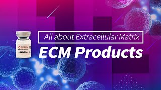 All about Extracellular Matrix Products [upl. by Stirling]