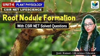 ROOT NODULE FORMATION AND BIOCHEMISTRY OF NOD GENES CSIR NETPLANT BIOLOGY [upl. by Burk]