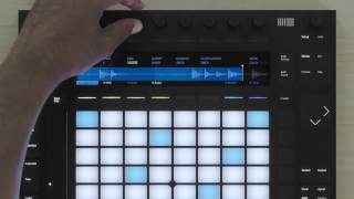 Learn Push 2 Sampling Classic Mode [upl. by Berstine]