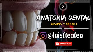 Anatomia Dental RESUMO Parte 1 [upl. by Obadias]