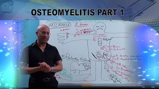 Osteomyelitis Symptoms and Diagnosis [upl. by Ostap]