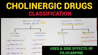 Autonomic Pharmacology  4  Cholinergic Drugs Classification  EOMS [upl. by Etterrag266]