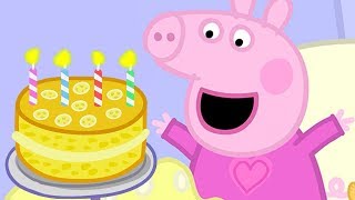 Peppa Pig in Hindi  Mera Janamdin ki Party  हिंदी Kahaniya  Hindi Cartoons for Kids [upl. by Cherianne931]