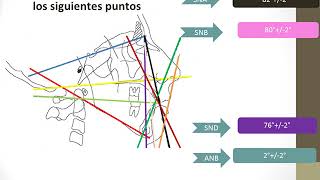 CEFALOMETRIA DE STEINER [upl. by See]