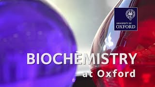 Biochemistry Molecular and Cellular at Oxford University [upl. by Steffi]