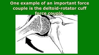 What is a Muscle Force Couple [upl. by Anelliw]