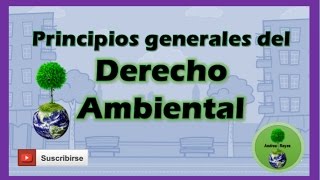 DERECHO AMBIENTAL  Principios Generales [upl. by Krock897]