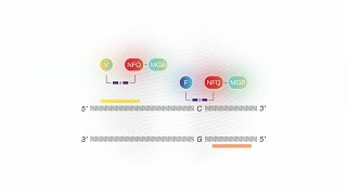 How it Works TaqMan SARSCoV2 Mutation Panel [upl. by Aika]