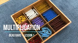 VMI Math  Multiplication Bead Bars 1 Montessori [upl. by Mcafee]