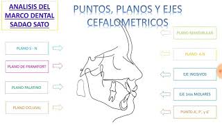 Analisis cefalometrico del marco dental sadao sato MEAW 1 [upl. by Nhguavahs]