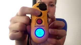 How to operate your Easy Educator EZ900 Ecollar Ecollar Technologies [upl. by Chrissa235]