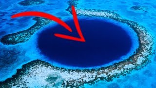 Bottom Of Belize Great Blue Hole Reveals Something SCARY [upl. by Lyda306]