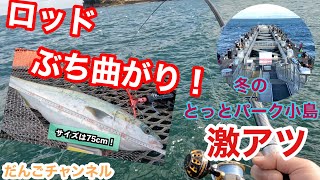 【釣行】とっとパーク小島 アジ・サバ＋青物釣行 [upl. by Lilak]