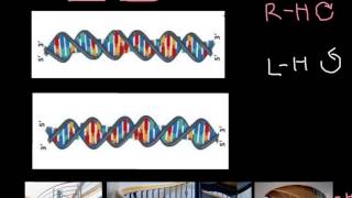 How to recognize LeftHanded and RightHanded DNA [upl. by Nowd475]