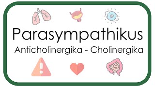 Parasympathikus – Pharmakologie Anticholinergika Atropin Scopolamin  Cholinergika Neostigmin [upl. by Eudo]