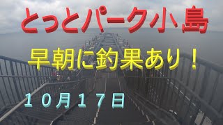 釣り始めて１５分で、「きたぁ～！」 [upl. by Garrard]