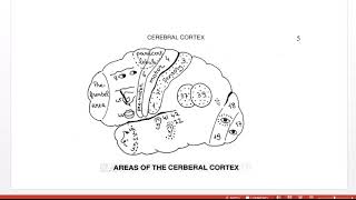 Speech disorders Aphasia amp Dysarthria [upl. by Adams3]