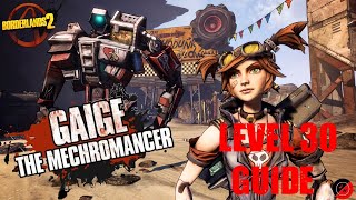 Beginners Guide to Gaige the Mechromancer  Level 30 Guide  Borderlands 2 [upl. by Luann905]