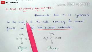 Classification of aminoacids  Based on their nature and functions  Organic biochemistry [upl. by Oijimer754]