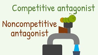 Competitive Antagonist vs Noncompetitive Antagonist [upl. by Staford]